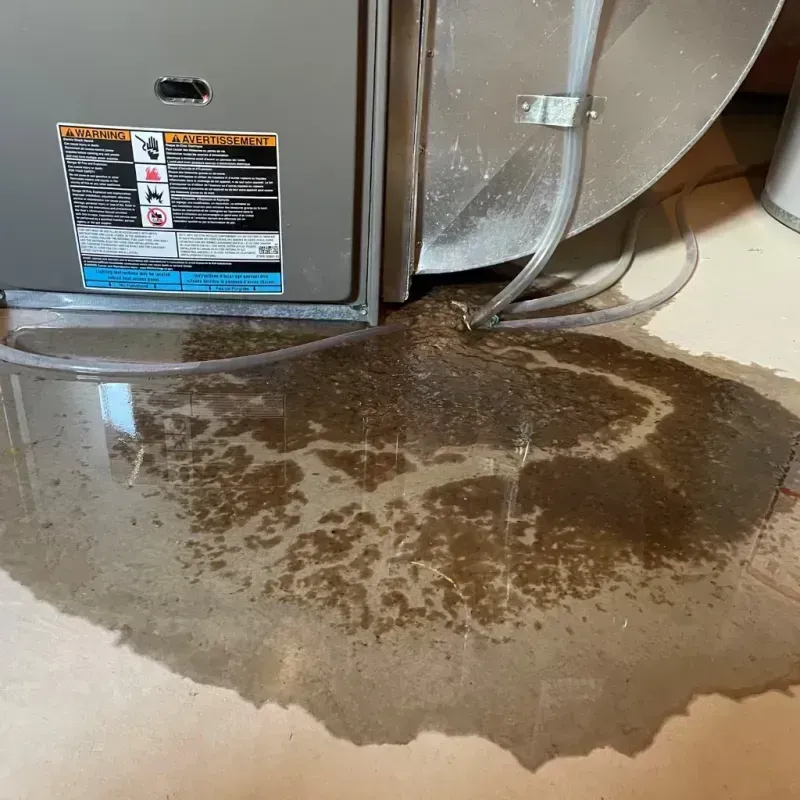 Appliance Leak Cleanup in Neosho County, KS